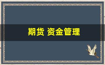 期货 资金管理(期货资金管理与风险控制)_https://www.gfdzclz.com_深交所_第1张